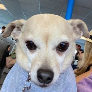 Meet your Posher, Kristen